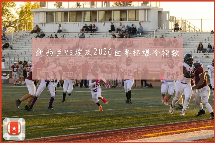 新西兰vs埃及2026世界杯爆冷指数