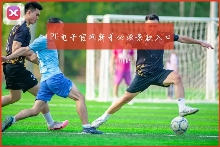 PG电子官网新手必读条款入口