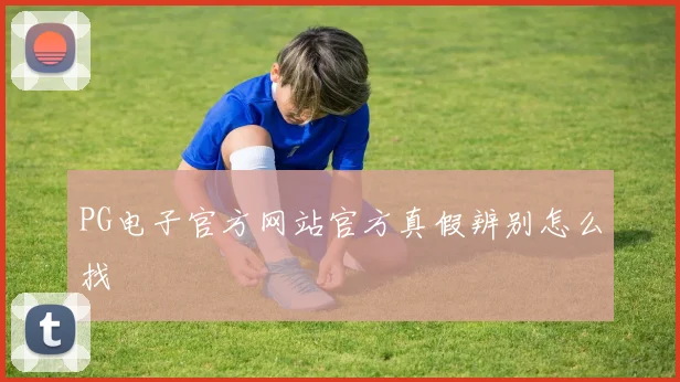 PG电子官方网站官方真假辨别怎么找