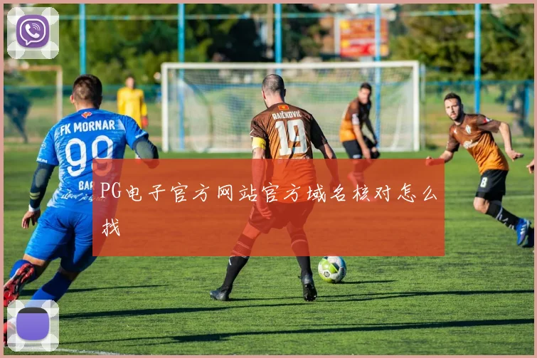 PG电子官方网站官方域名核对怎么找